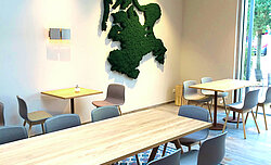Free-form map of Rügen as moss picture with moss edging, Evergreen Premium moss, Freund GmbH, wall picture, biophilic design