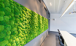 Preserved cushion moss for Greenhill moss wall, functionally acoustic, AGROFARM lettering