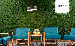 Moss logo made of functionally acoustic Evergreen Moss Standard with an integrated company logo in the UBER offices