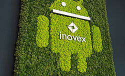 Moss marketing message for staff, moss picture with raised inovex logo