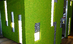 Freund moss manufactory art installation, moss object, moss box