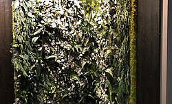 Greenwood Jungle moss wall for own exhibition presence, preserved plant wall, lush plants, jungle aesthetic, London