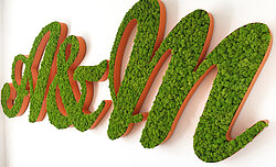 Moss logo of framed moss letters, Freund Evergreen Moss Premium, Ansel & Möllers PR agency, pvc with mosss