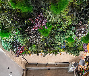 Neue Ideen für Architekten Vorschau Freund GmbH Neue Ideen für Architekten, Unsere nachhaltigen Materialien für Ihre spannenden Projekte