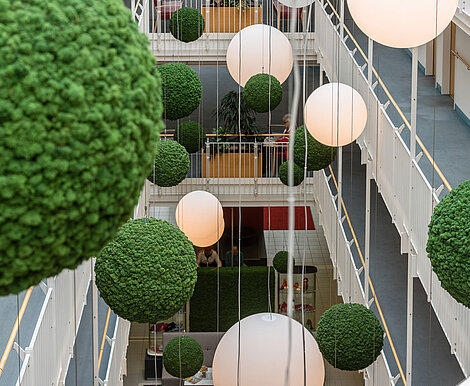 Akustisch wirksame Mooskugeln, Evergreen Moos, moosgrün, Rehazentrum Bad Gögging