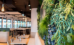 Preserved plant wall, Freund Greenwood Jungle, maintenance-free at the ORBI Tower Vienna