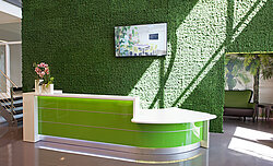 Careline KG maintenance-free office greenery, atrium and office walls, Evergreen Premium, colour: moss green