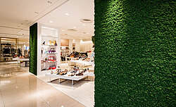 Real maintenance-free moss walls, shoe shop in a shopping mall, Kawasaki, Japan