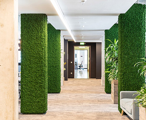 Green office with moss pillars of Evergreen Premium by Freund GmbH