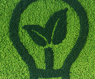 Moosbuchstaben & Mooslogos Branding mit Moos (Moosbuchstaben und Mooslogos)