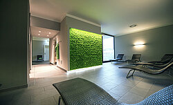 Apple green Evergreen Premium moss wall, relaxation room, Fitcenter Hallein