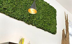 [Translate to English:] Freund Evergreen Premium moss picture, TimeOut café, Balingen