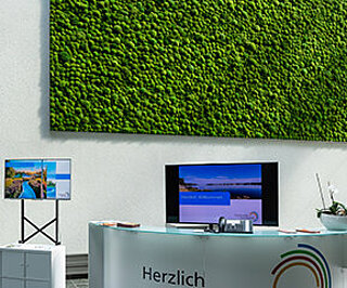 Greenhill Moos Premium Freund Greenhill Moos Premium, Mooswände & Moosbilder für Innenräume, Kugelmoos / Ballenmoos / Hügelmoos, maßgeschneidert