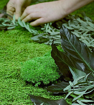 Vorschau Freund GmbH, production, manufacturing moss products and application - A piece of nature for your rooms