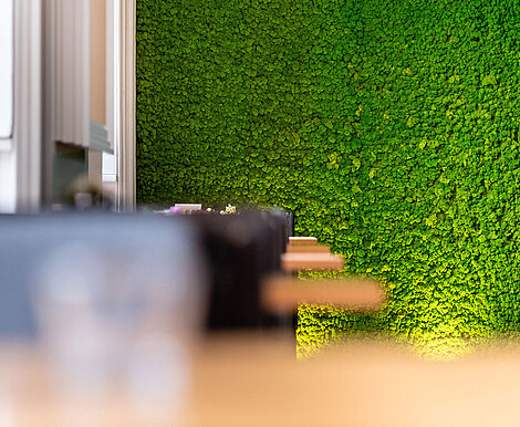 Mooswand / Moosbild als Wandverkleidung in der Veranstaltungslocation Schloss Bothmer Echte Mooswand aus Evergreen Premium in Apfelgrün - perfekt für den Veranstaltungsraum des Schloss Bothmer
