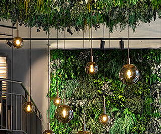 Greenwood Moos Jungle & more Von echtem Moosbildern in Waldoptik bis hin zu Pflanzenwänden in dichter Dschungeloptik: Moos für Wände, Böden, Decken von Freund GmbH