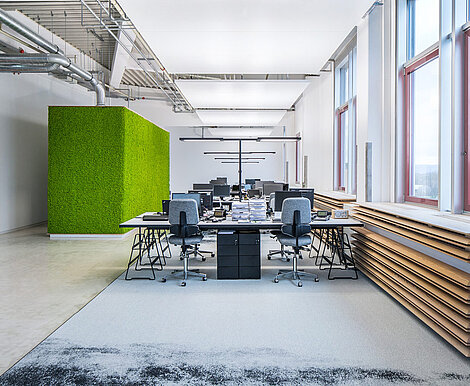 Mooswand in apfelgrün im Büro, Box mit Freund Evergreen Moos Premium