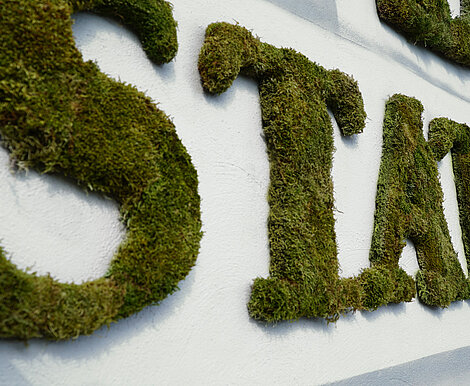 Ambient Werbung, große Greenwood Moosbuchstaben an Hauswand, Streetart Kampagne Bio-Limonade