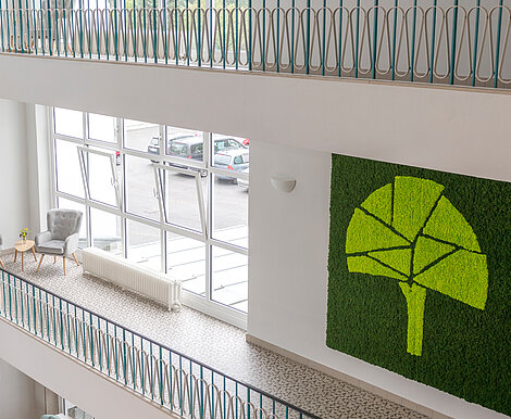 Moosmotiv nach Kundenwunsch, große Premium Mooswand mit Mooskante und Moosschriftzug Campus Horn