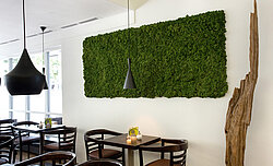 [Translate to English:] Freund Evergreen Premium moss picture, TimeOut café, Balingen