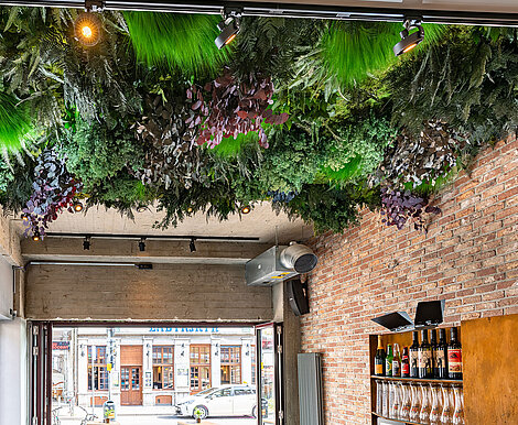 Deckeninstallation Freund Greenwood Jungle konservierte Pflanzen auf Moos, pflegefrei, Tangente Aachen