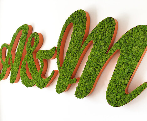 Mooslogo aus gerahmten Moosbuchstaben, Freund Evergreen Moos Premium, PR Agentur Ansel & Möllers